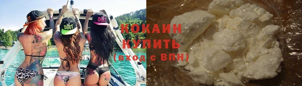 ПСИЛОЦИБИНОВЫЕ ГРИБЫ Кулебаки