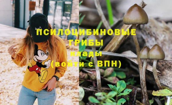 каннабис Ладушкин